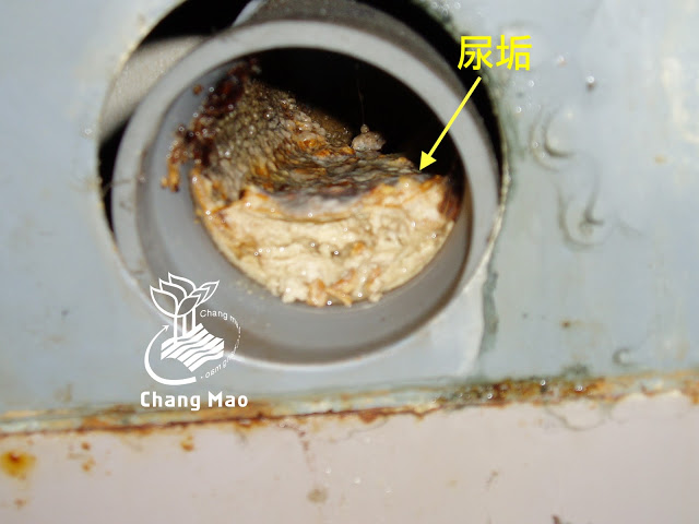 尿騷味來源 尿垢