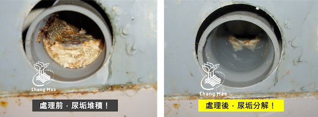 清潔管線 管線清潔