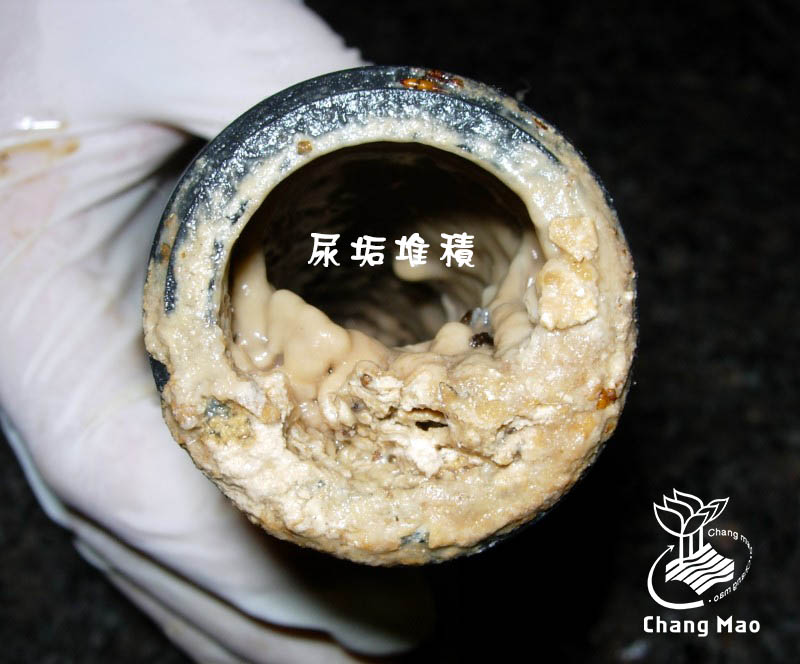 臭味根源 小便斗管垢