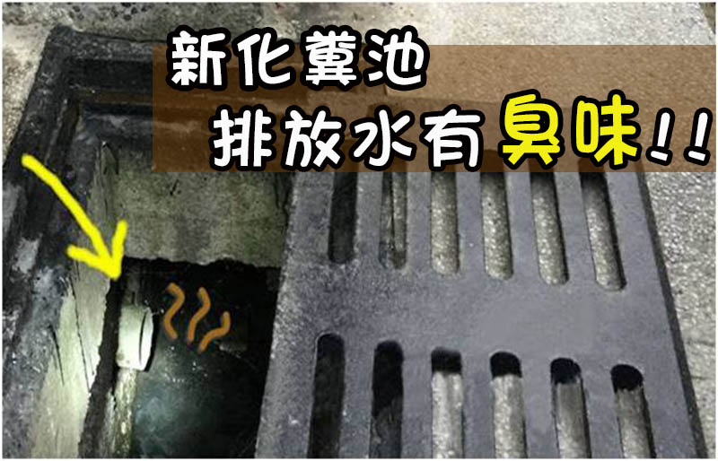 水溝臭味 化糞池排水臭味