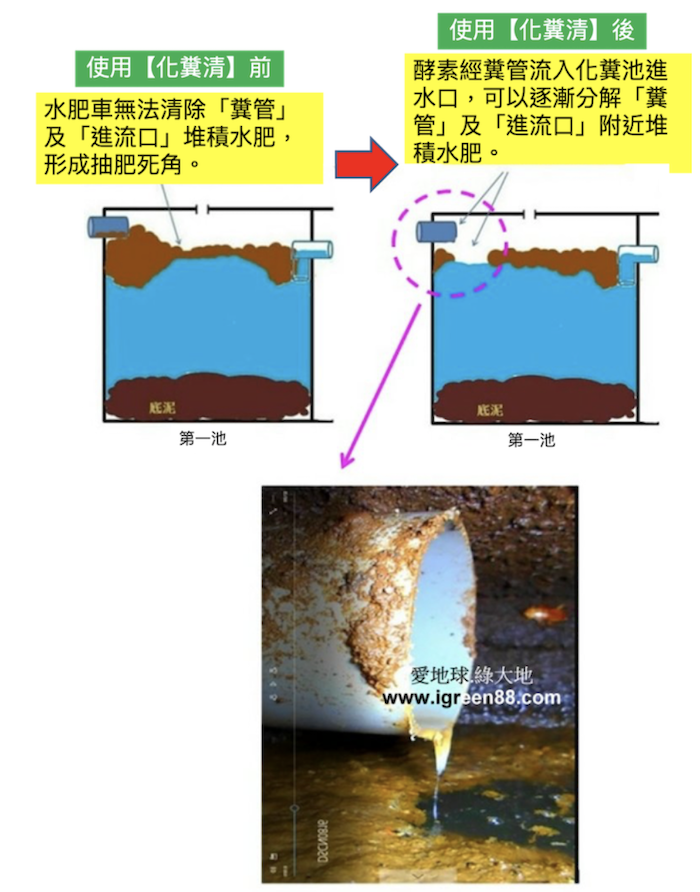 使用綠大地化糞清效果