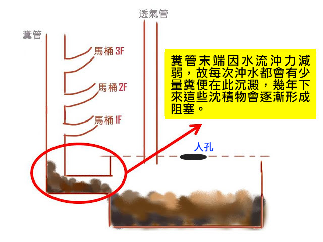 糞管末端堆積