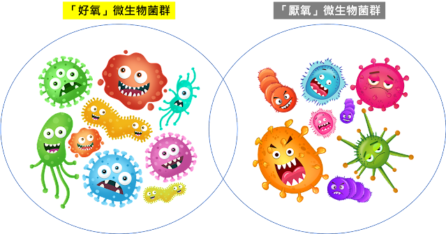 好氧厭氧