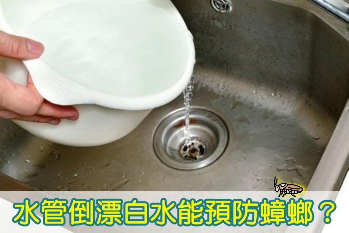 水管倒漂白水