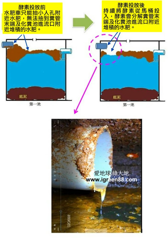 使用化糞清效果