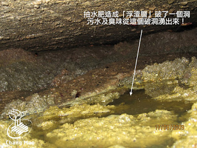 20241221-5.jpg