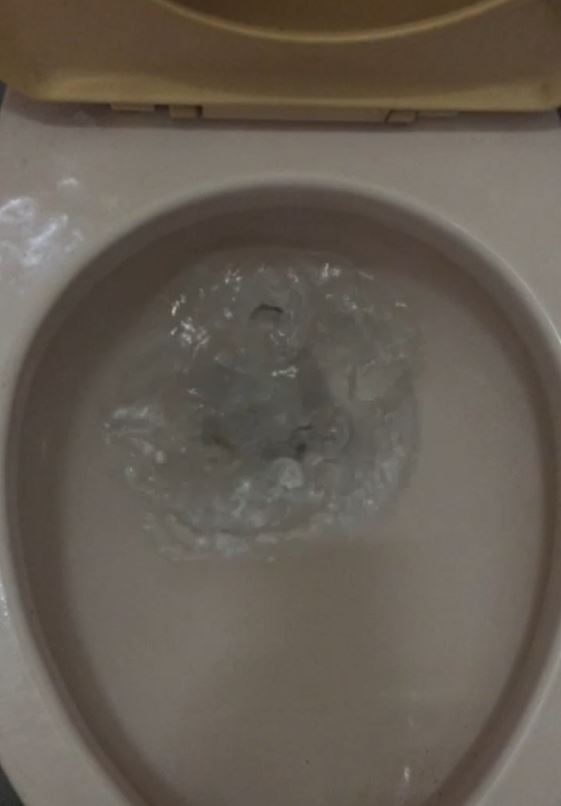 20241221-4.JPG