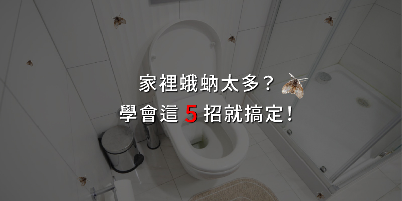 20250926家裡蛾蚋太多學會這5招.jpg