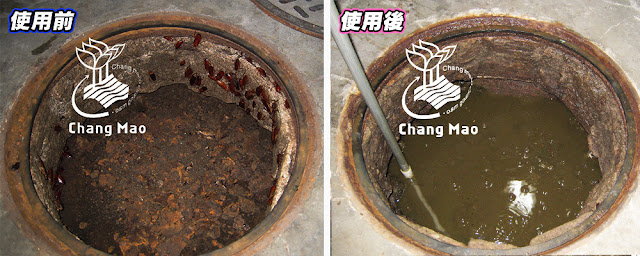 20241026化糞清使用前後.jpg