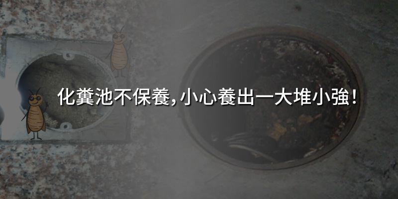 20240823化糞池不保養小心養出一大堆小強.jpg