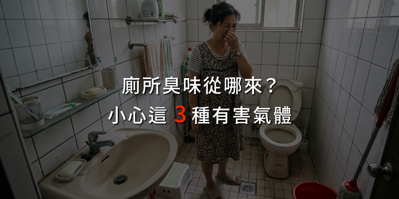 20260313廁所臭味從哪來.jpg